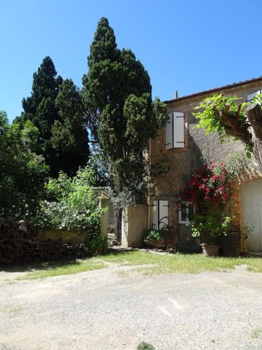 Sigean - Maison Domaine Viticole, 6 Km De La Mer Bagian luar foto