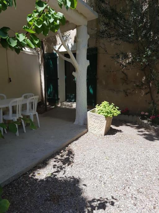 Sigean - Maison Domaine Viticole, 6 Km De La Mer Bagian luar foto