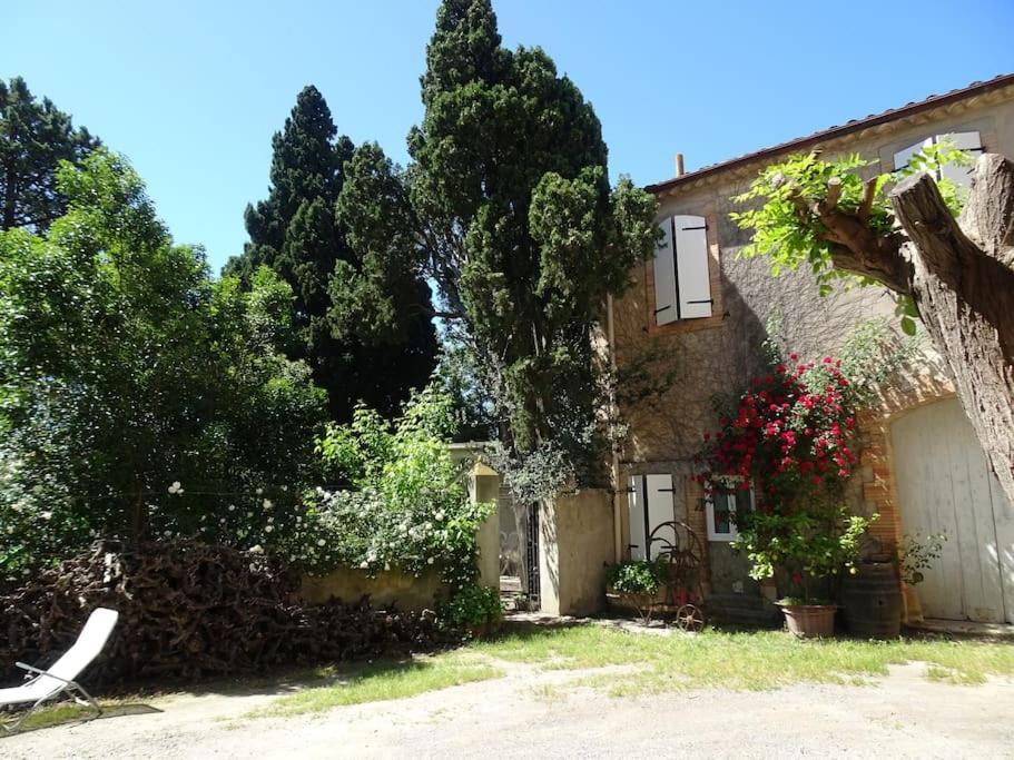 Sigean - Maison Domaine Viticole, 6 Km De La Mer Bagian luar foto